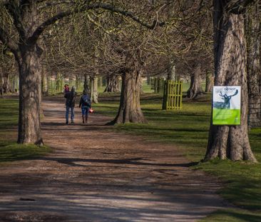 Harrowdene Gardens Teddington TW11 - Photo 3