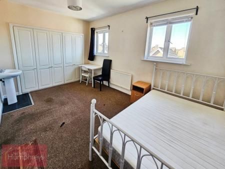 Mosquito Way - Photo 1