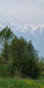 Location Appartement 2 pièces 37m² ST CYPRIEN 66750 - Photo 4