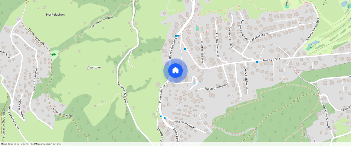 Route de Lens Crans 81, Crans-Montana