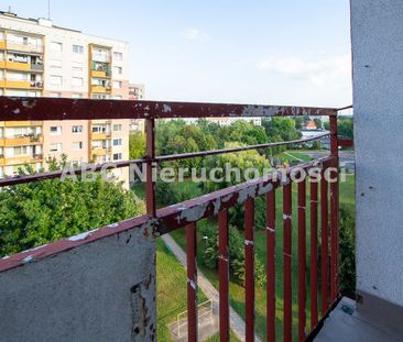 Piła - Photo 6