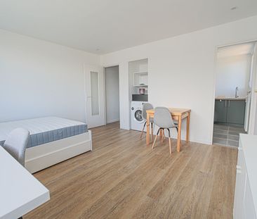 Location Appartement 1 pièce 26m² BIHOREL 76420 - Photo 2