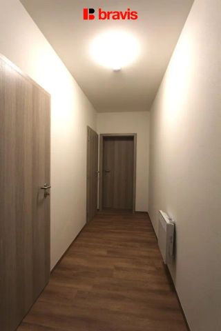 Pronájem bytu 1+kk, Brno - Zábrdovice, ul. Francouzská, výtah, parkování - Fotografie 2