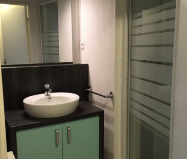 Location Appartement 1 pièce 18m² - Photo 3