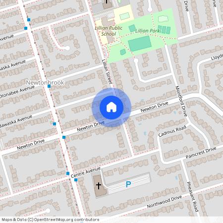 116 Newton Dr Drive Unit# Basement, Toronto