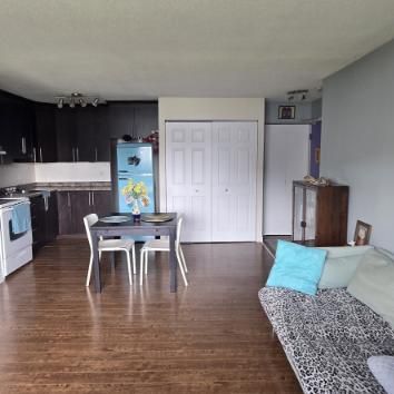 3 1/2 - Gatineau (Aylmer) - 1 595 $/mois - Photo 3