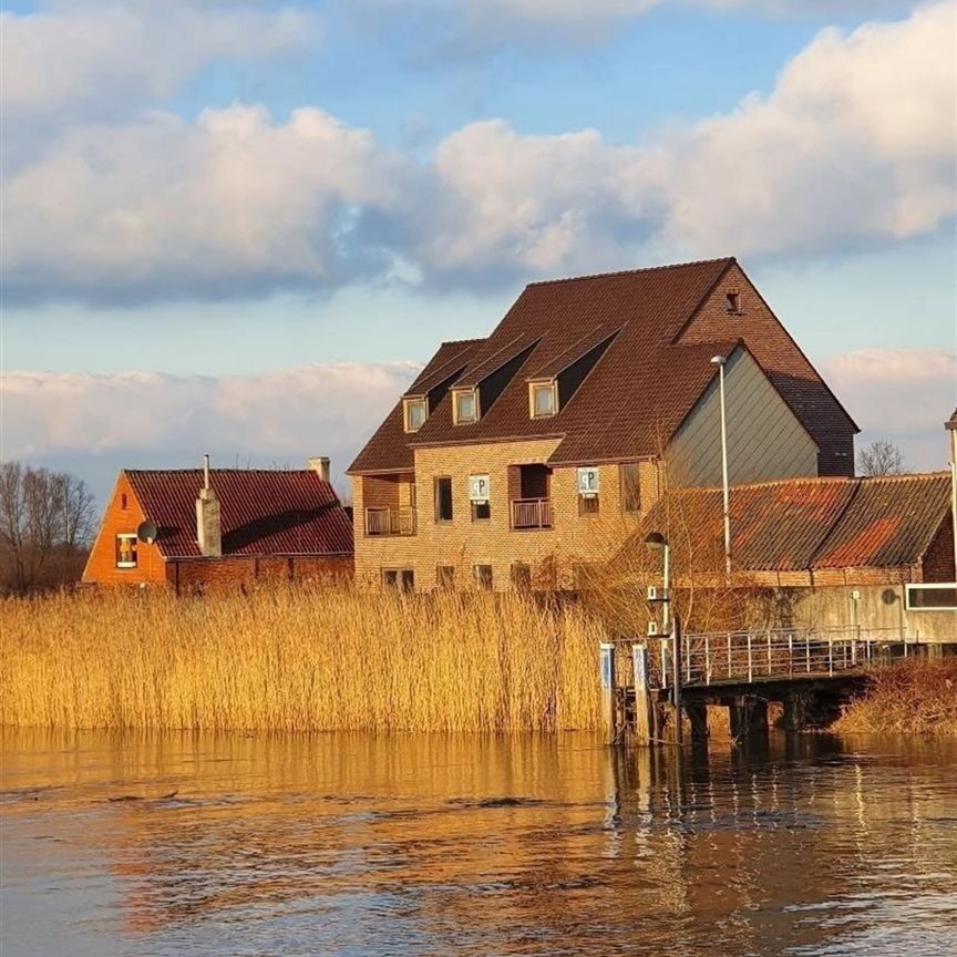 Fantastisch gelegen appartement met 3 slaapkamers aan de Schelde. - Photo 1