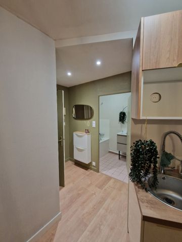 Location Appartement 1 pièce 22m² - Photo 4