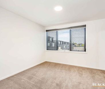 Terrific in Taylor - Photo 5