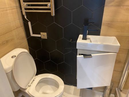 Studio Flat, Culverley Road, SE6 - Photo 4