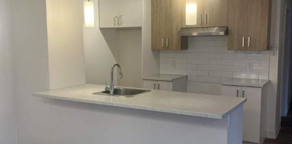 4 1/2 À LOUER - MONTRÉAL-EST - APPARTEMENT À LOUER - Photo 2