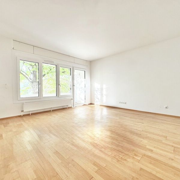 ERSTBEZUG NACH SANIERUNG | LOGGIATRAUM | OPTIMAL-AUFGETEILTE 3 ZIMMER | TOPLAGE IN GRINZING - Photo 1