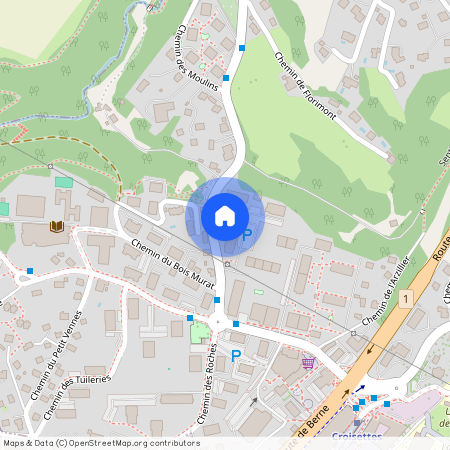 1066, Epalinges, Chemin Du Vaugueny, 20