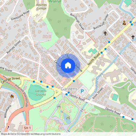 7B Cornhill St, North East Valley, Dunedin