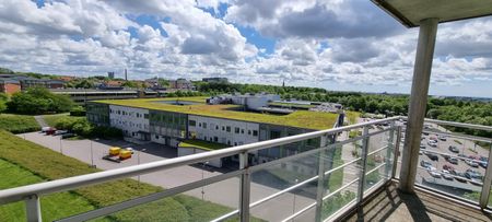 Möllevångsvägen, Lund - Photo 2