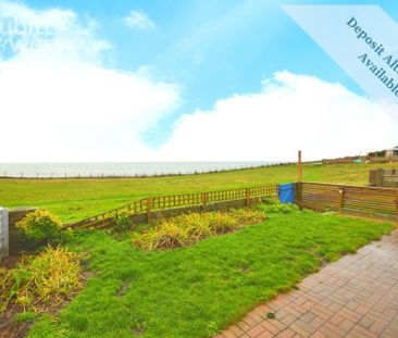 4 bedroom semi-detached house to rent - Photo 2