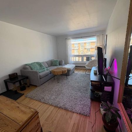 4 1/2 à Ste-Foy près de tout disponible 1e juillet - Photo 4