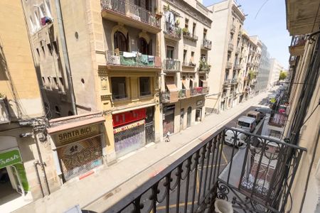 Carrer Nou de la Rambla, Barcelona, Catalonia 08001 - Photo 2