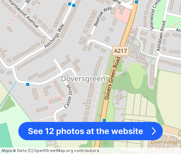 Dovers Green Road Reigate RH2 - Photo 1