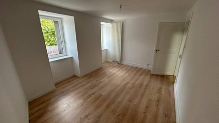 A LOUER - 2 PIECES REFAIT A NEUF - ROBERTSAU - STRASBOURG - Photo 2