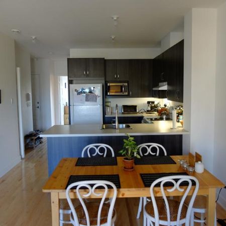 3 1/2 - Montréal (La Petite-Patrie) - 1 550 $/mois - Photo 4