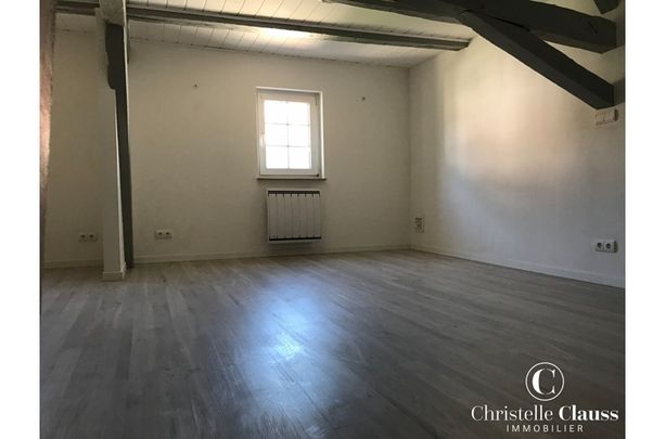 Appartement - BUSCHWILLER - 85m² - 2 chambres - Photo 1