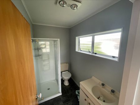 Feilding - 3 Bedrooms - Photo 4