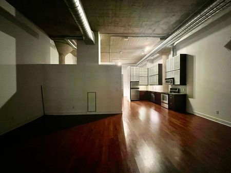 TIP TOP LOFTS: Bathurst St & Lake Shore Blvd W (637 Lake Shore W) AD#000309 - Photo 3