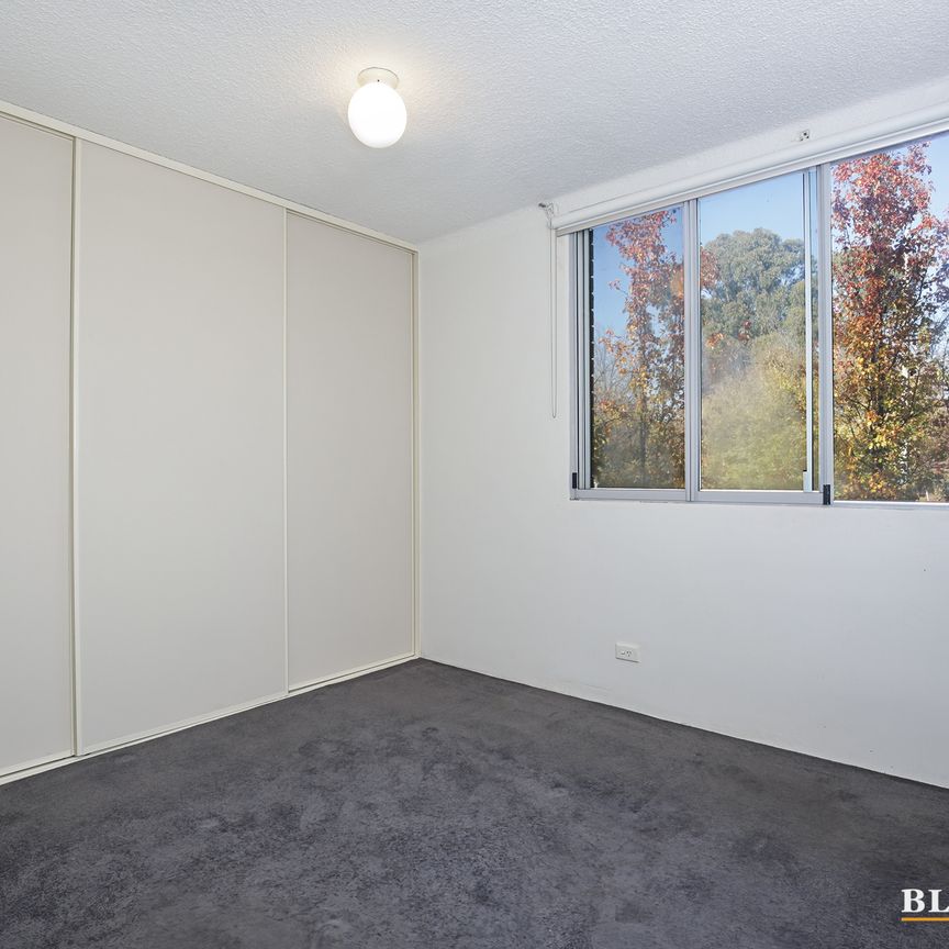 1/99 Canberra Avenue, Griffith ACT 2603 - Apartment For Rent | Domain - Photo 1