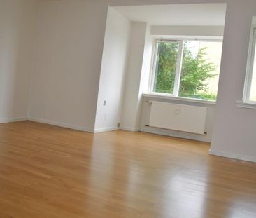 Gl. Skivevej - Photo 6