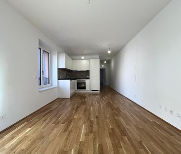 Neubau ab Februar: 3-Zimmerwohnung mit Balkon in grünster Umgebung - Photo 4