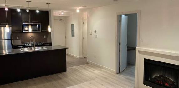 1Bed 1Bath Condo + Parking + Storage - Coquitlam Centre - Photo 2