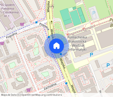 Wynajmę mieszkanie 40m2 ul. Wiejska dwupokojowe centrum Nowe Miasto - Photo 1