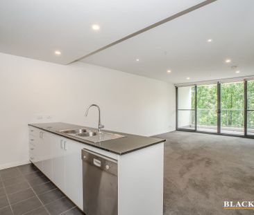 241/1 Mouat Street, Lyneham ACT 2602 - Apartment For Rent | Domain - Photo 2