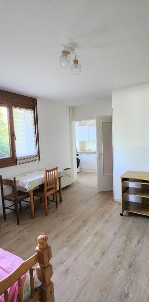 Location Appartement 1 pièce 25m² LIMOGES 87000 - Photo 1