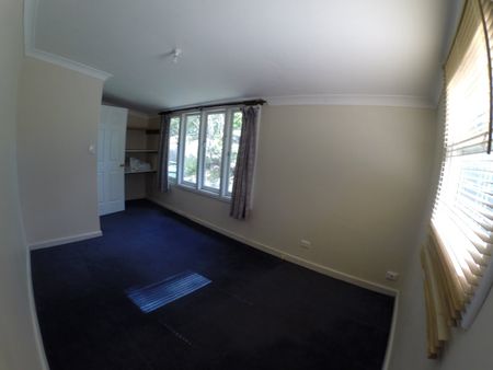 46 Bertana Crescent, Mona Vale NSW 2103 - House For Rent | Domain - Photo 2
