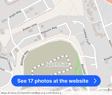 Elm Rise, Birtley, DH3 - Photo 1