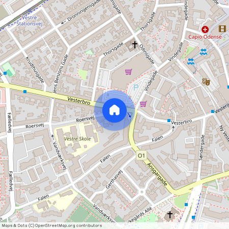 Vesterbro 60, 1. th, 5000 Odense C