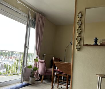 Location Appartement 1 pièce 25m² ORLEANS 45100 - Photo 4
