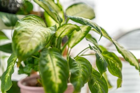 For Lease - 33 Helendale Avenue Unit# 1806, Toronto, Ontario - Photo 4