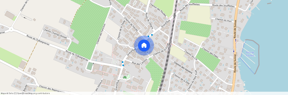 Chemin de la Forge 1 A, 1297 Founex