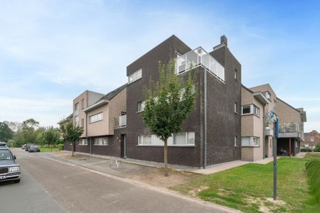 Appartement te huur Kalken - Foto 3