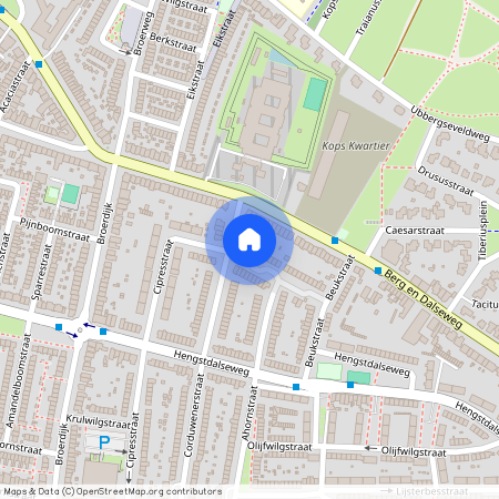 Abeelstraat 3 6523 JA Nijmegen