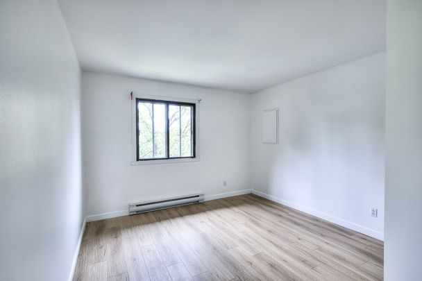 11667 Rue Sainte-Catherine Est - Photo 1