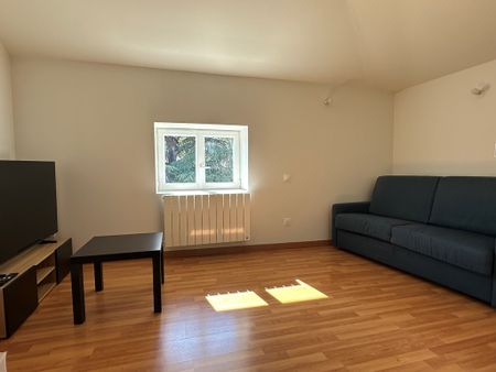 Location Appartement 1 pièce 29m² COUZON AU MONT D OR 69270 - Photo 3
