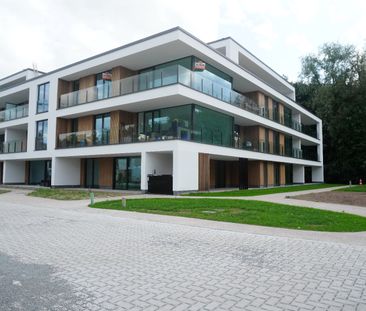 Appartement te huur in Lokeren - Photo 3