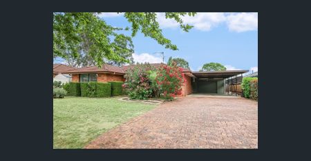 Stylish Family Home in Mount Annan - Photo 3