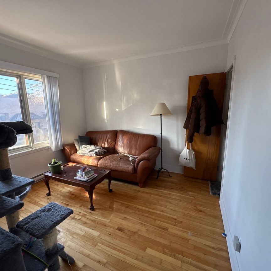 Rue Springland, H4E 2G9, Montréal - Photo 1