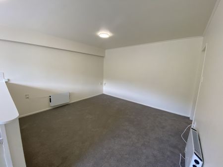 Owhiro Bay Living - Photo 5