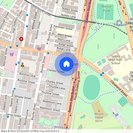 7 Little Cleveland Street, NSW 2016, Redfern